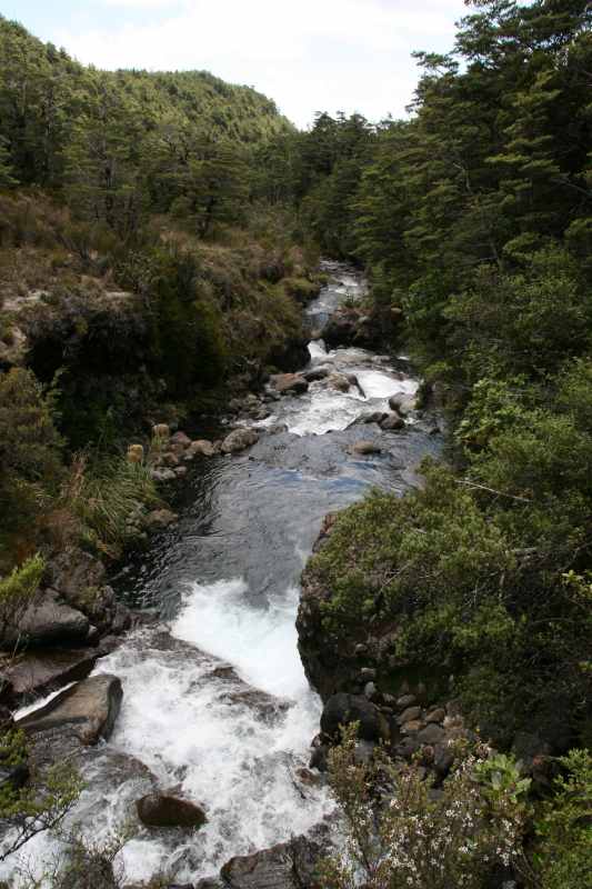 Nieuw-Zeeland 2011 - 0837
